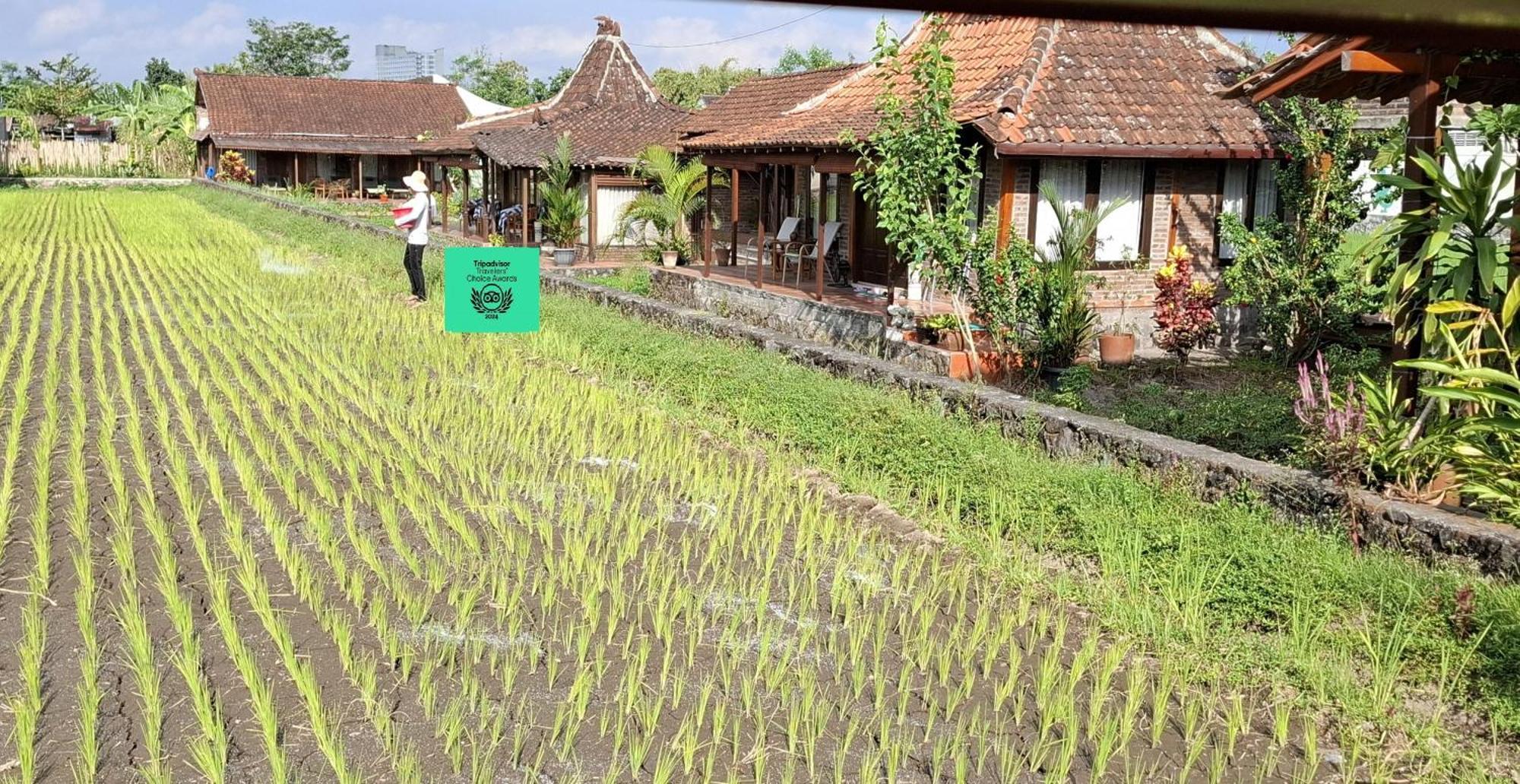 Alamanda Family Villas, Pool & Local Tours Yogyakarta Esterno foto