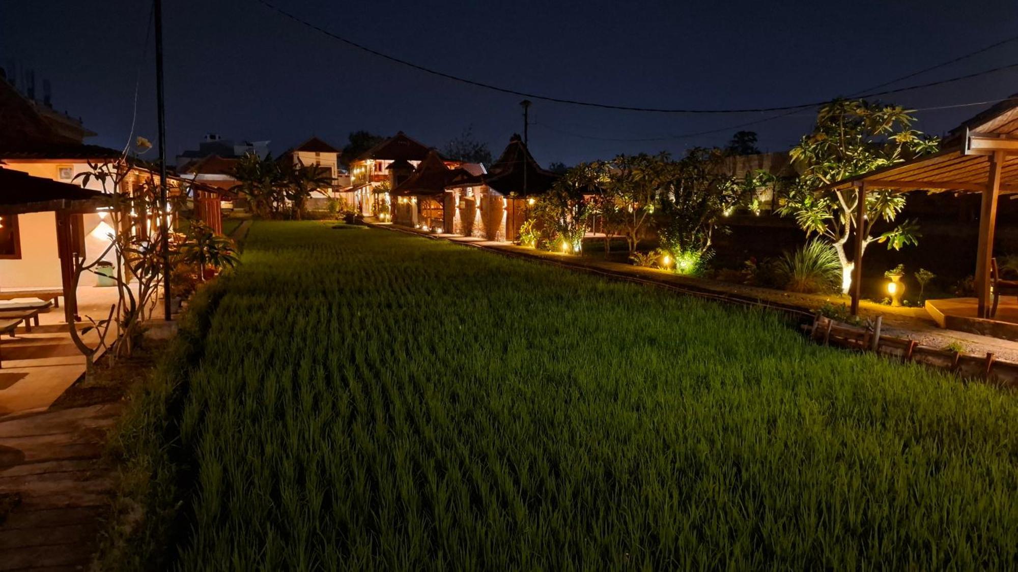 Alamanda Family Villas, Pool & Local Tours Yogyakarta Esterno foto