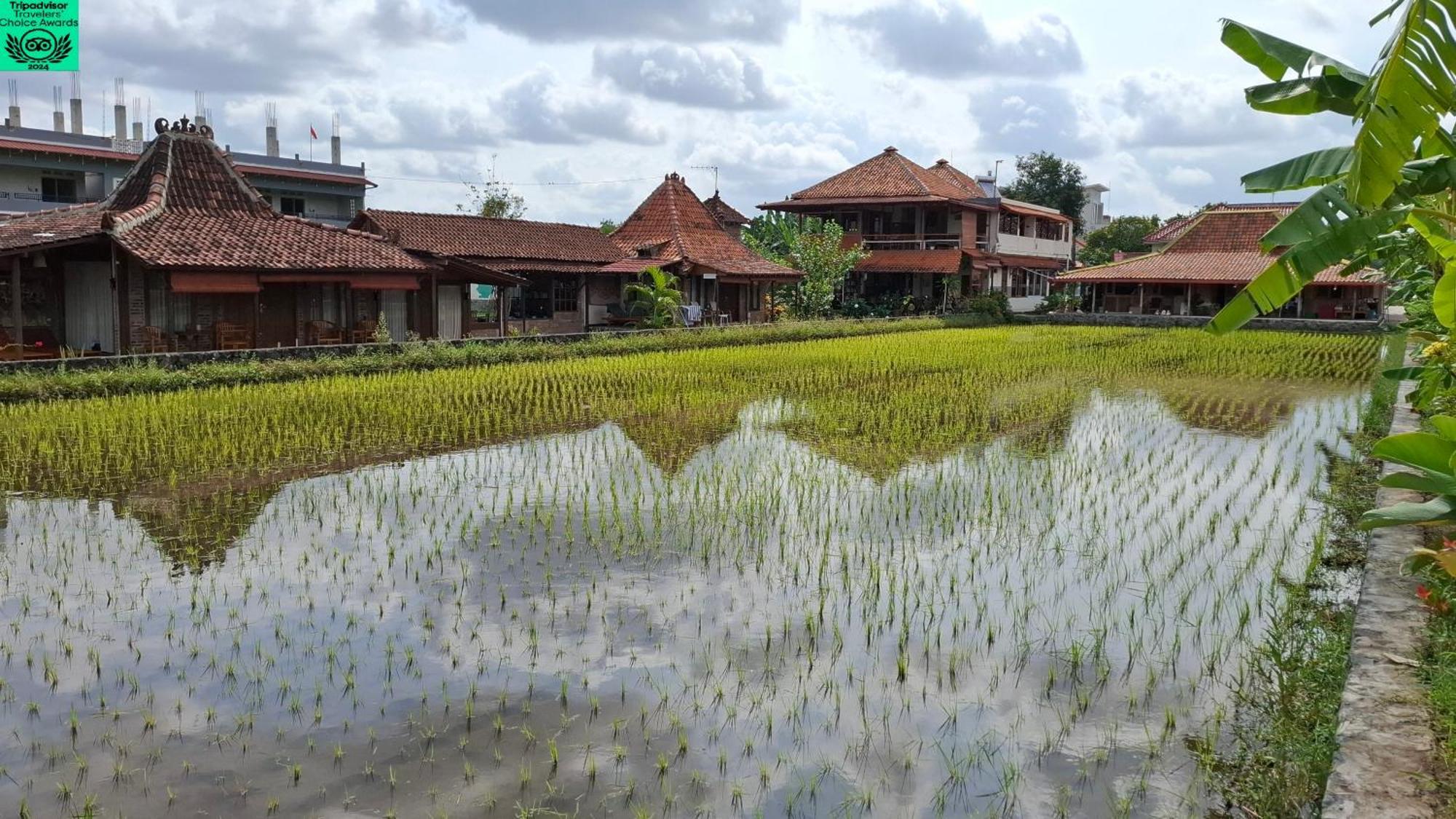 Alamanda Family Villas, Pool & Local Tours Yogyakarta Esterno foto
