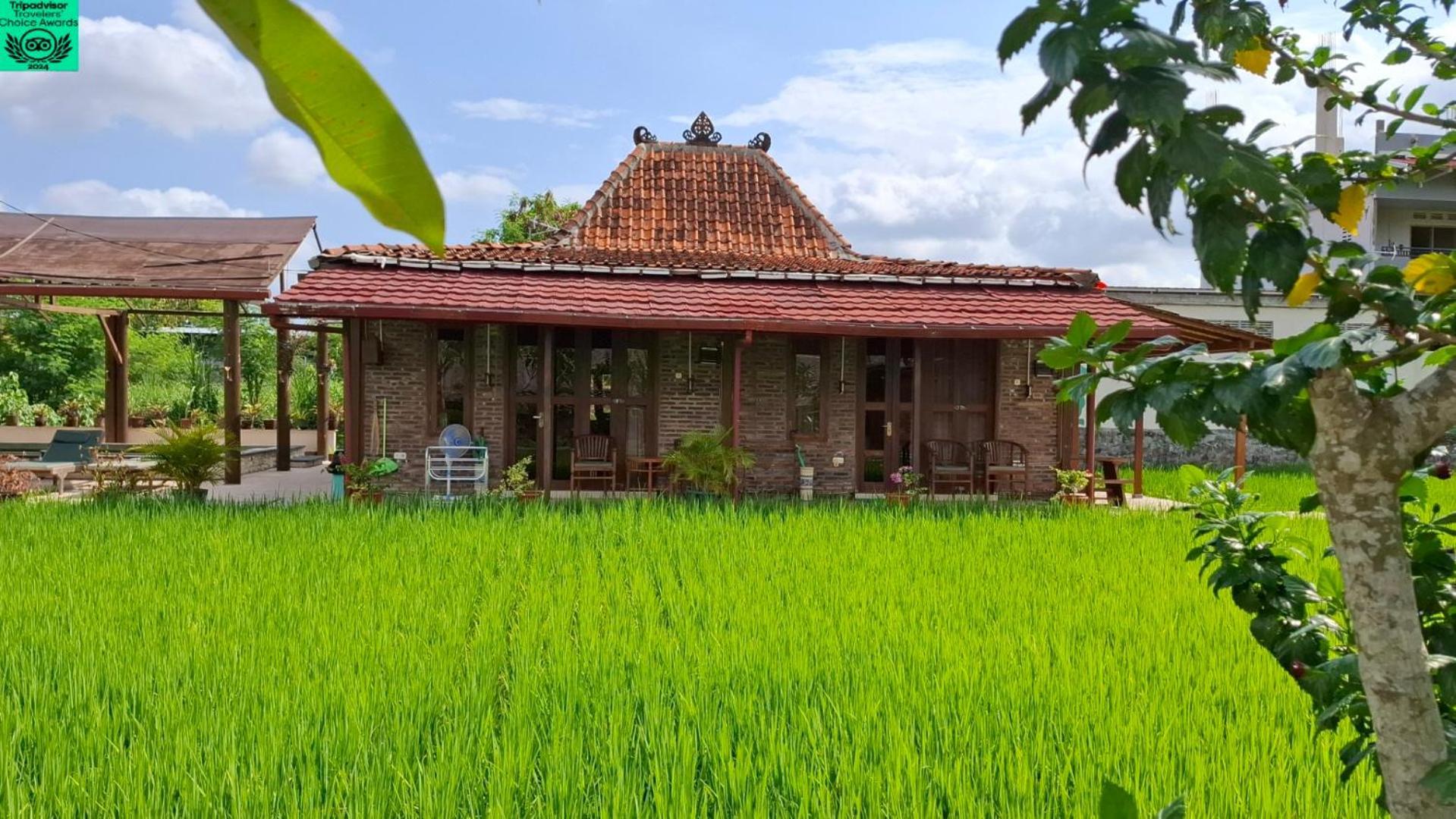 Alamanda Family Villas, Pool & Local Tours Yogyakarta Esterno foto