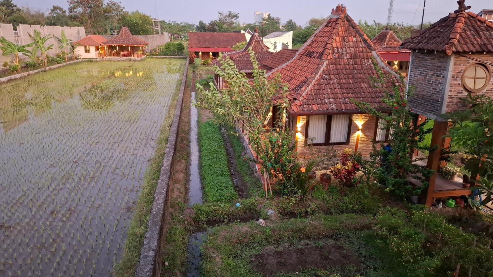 Alamanda Family Villas, Pool & Local Tours Yogyakarta Esterno foto
