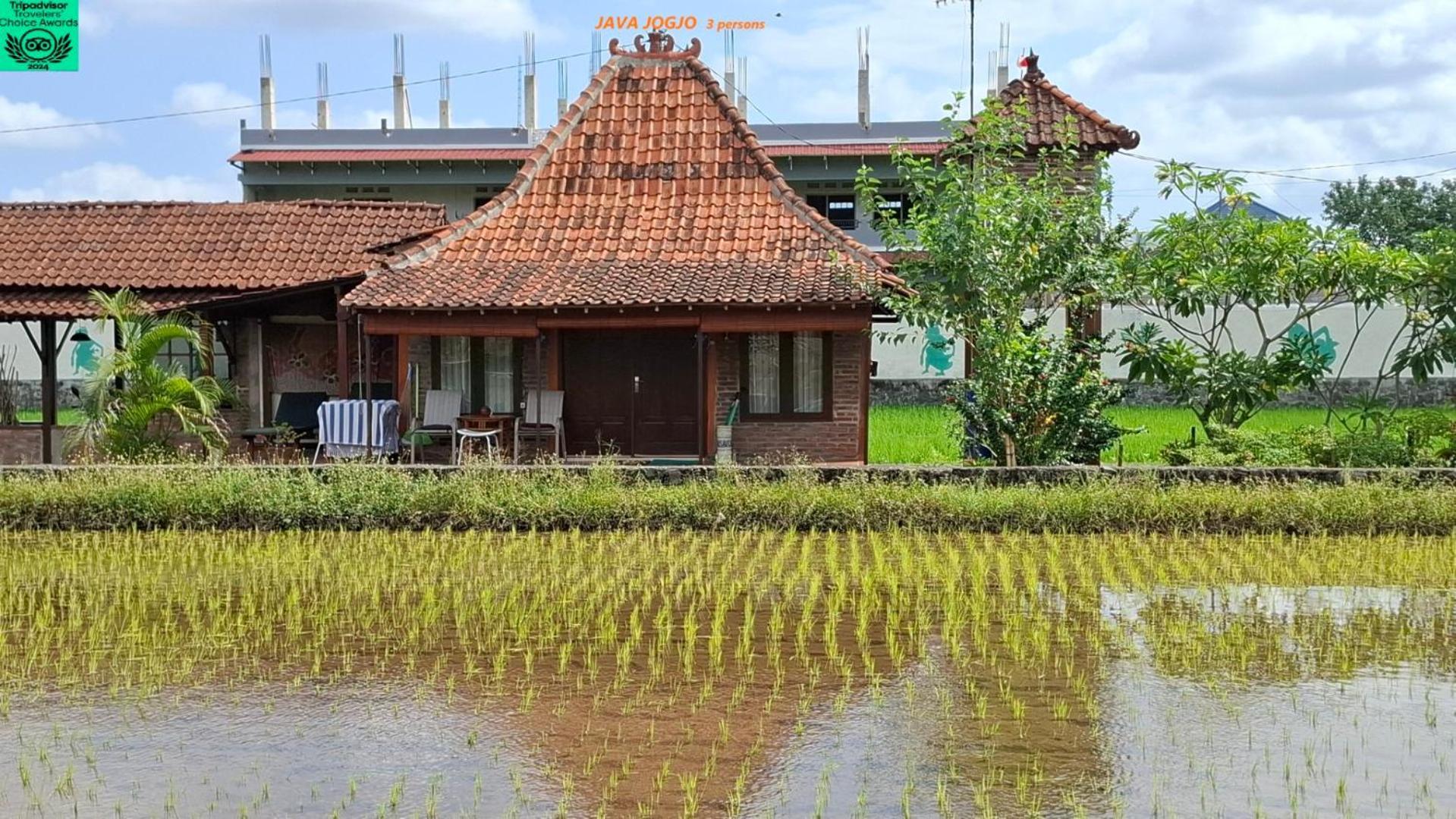 Alamanda Family Villas, Pool & Local Tours Yogyakarta Esterno foto