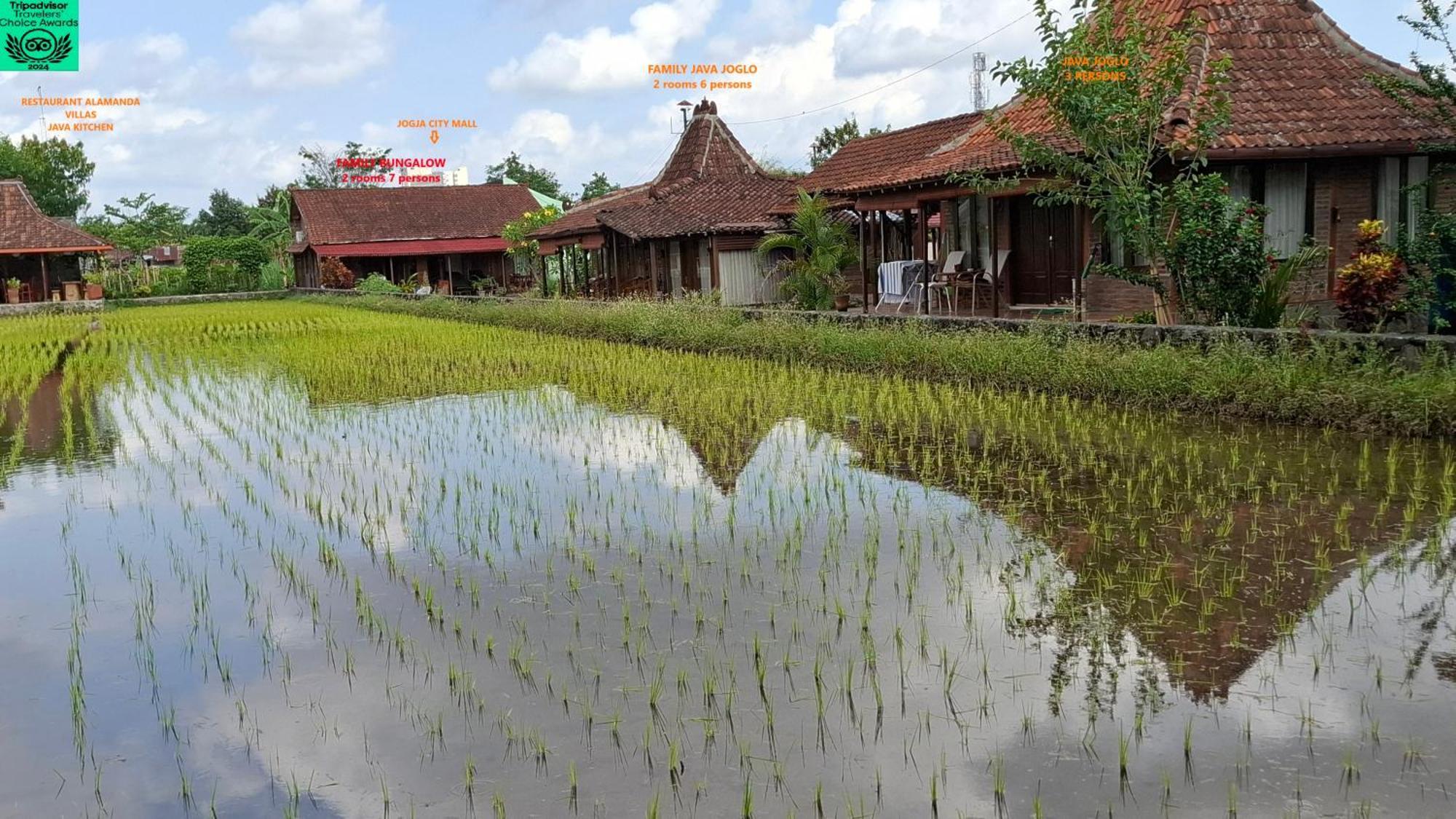 Alamanda Family Villas, Pool & Local Tours Yogyakarta Esterno foto