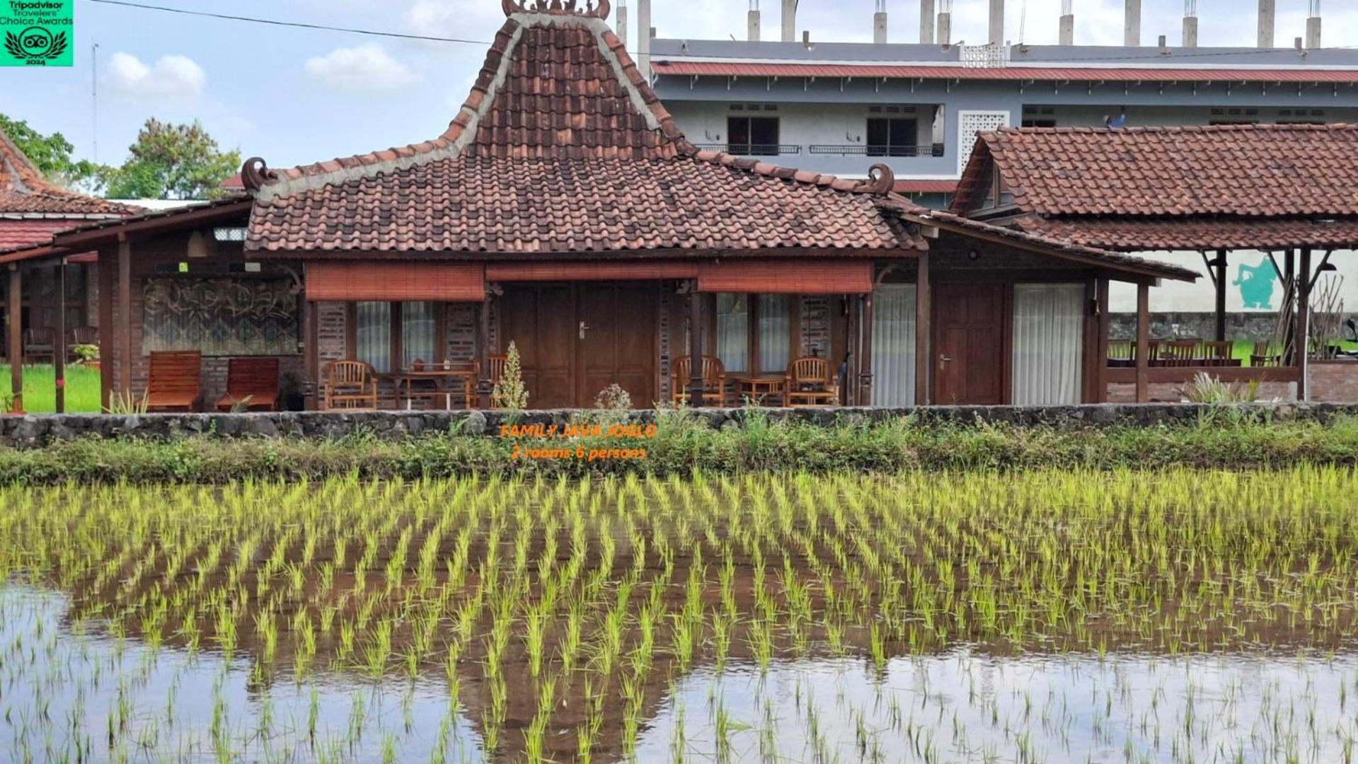 Alamanda Family Villas, Pool & Local Tours Yogyakarta Esterno foto